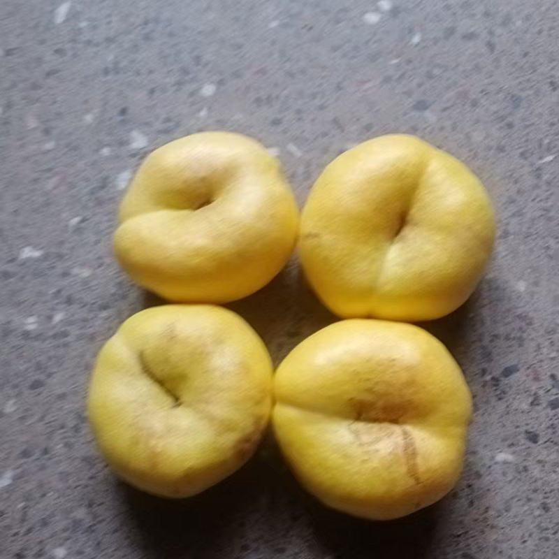 蟠桃，油桃四，末来一号油桃，毛桃突围大量上市中