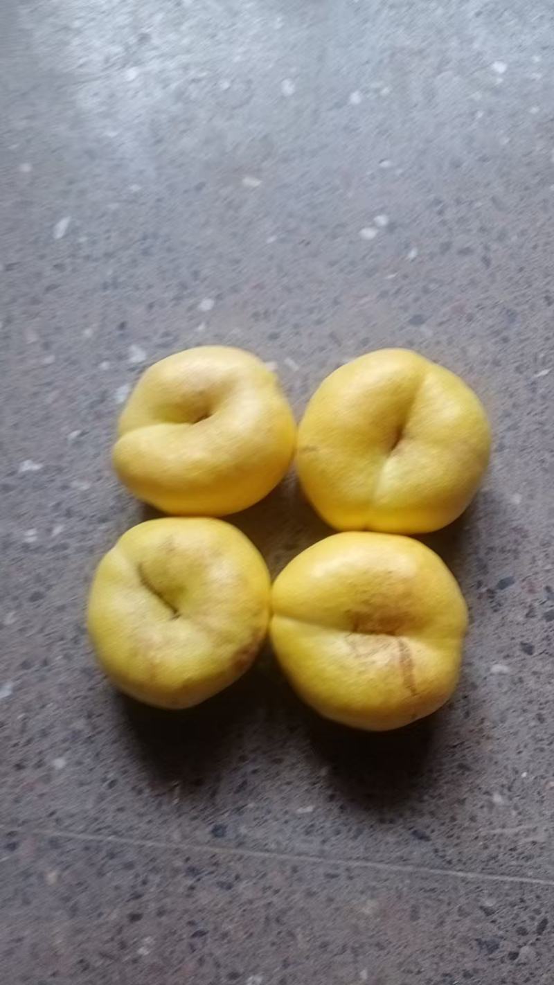 蟠桃，油桃四，末来一号油桃，毛桃突围大量上市中