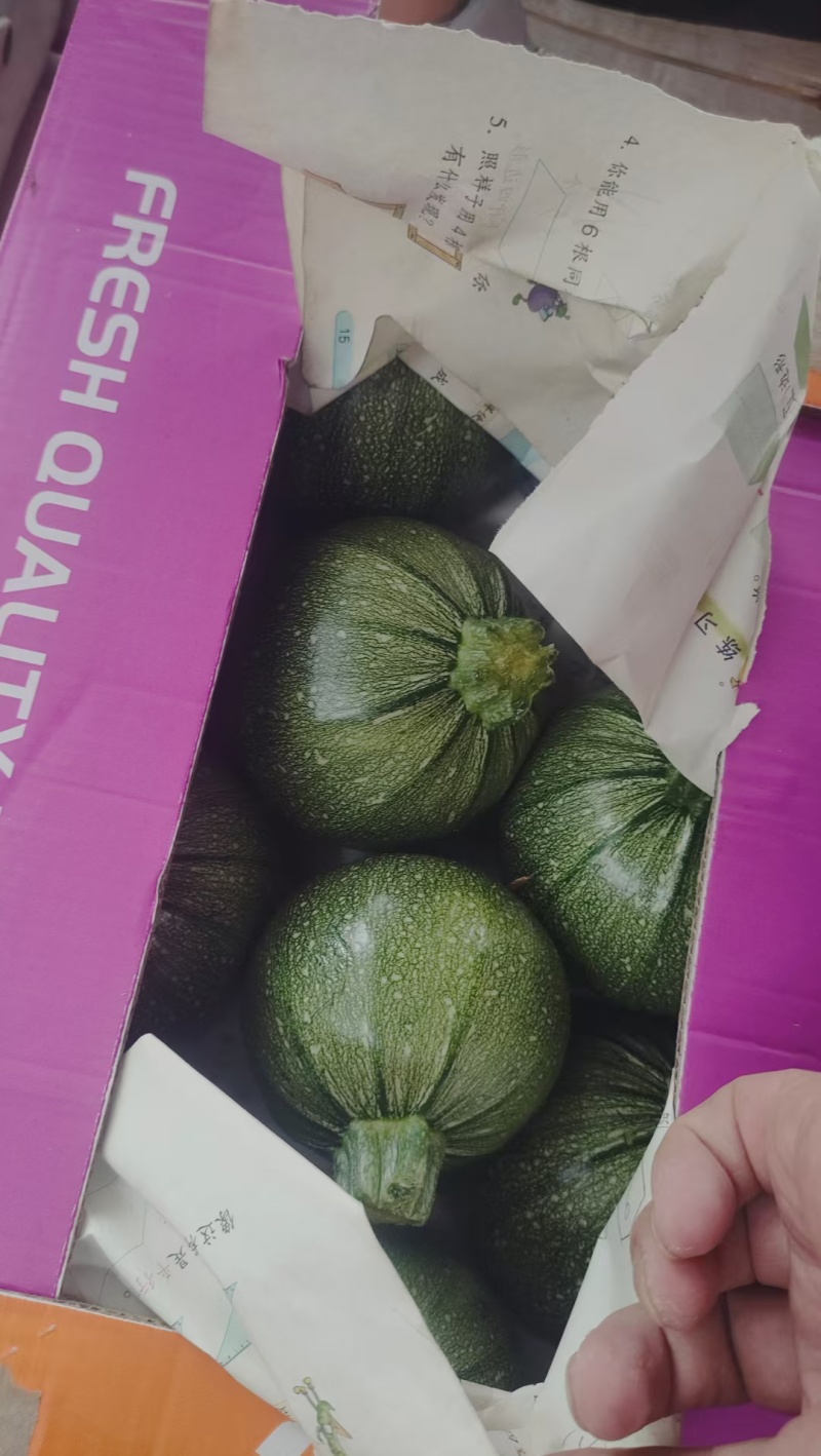 南通本地西葫芦