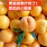 黄金油桃