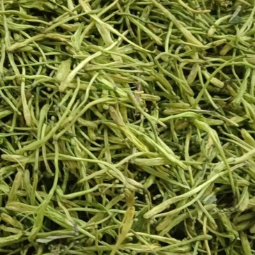 四川中药材金银花一手货源质量保证对接全国发货
