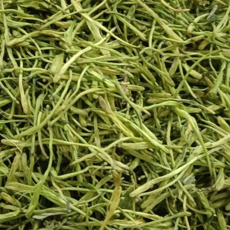 四川中药材金银花一手货源质量保证对接全国发货