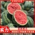 【精品】湖北美都西瓜，产地一手货源5斤打底保熟保甜发市场