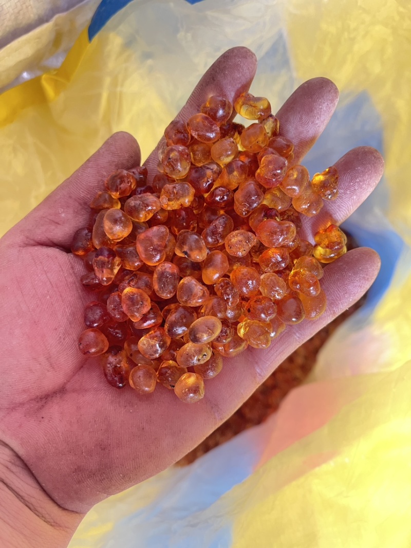 【牛商优选】黄红颗粒桃胶保质保量精选特级桃胶新货