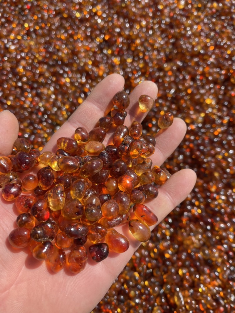 【牛商优选】黄红颗粒桃胶保质保量精选特级桃胶新货