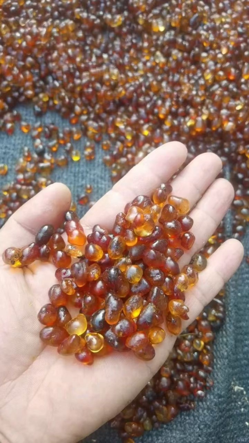 【牛商优选】黄红颗粒桃胶保质保量精选特级桃胶新货