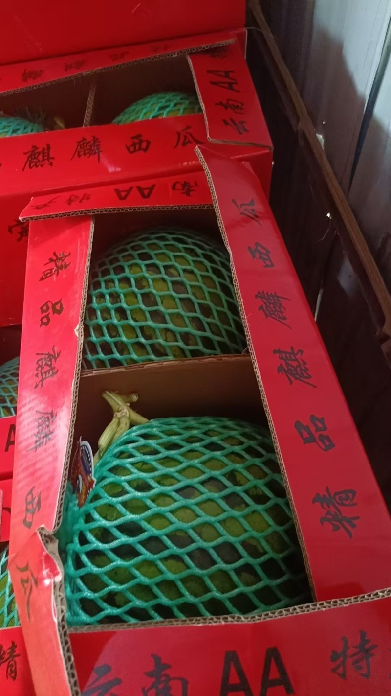 陕西蒲城精品甜王西瓜本地西瓜，纯净水灌溉，代发全国