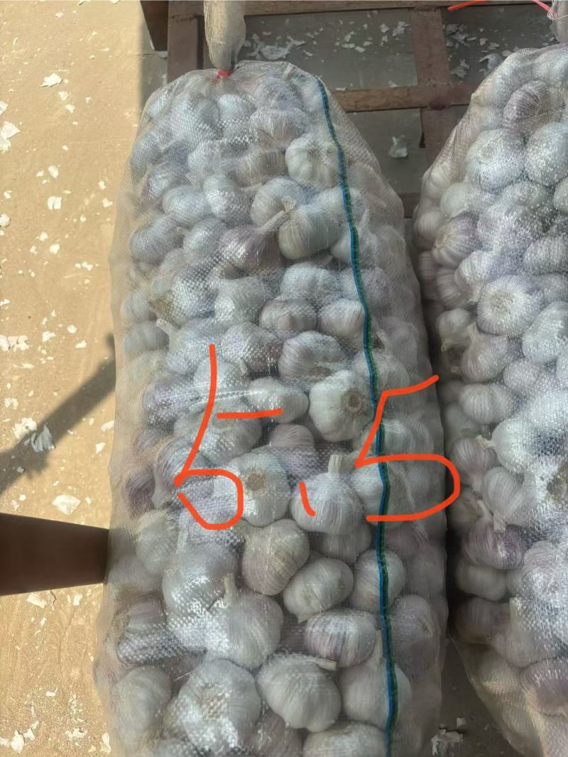 江苏大蒜邳州分级净蒜红皮蒜紫皮蒜，产地直发