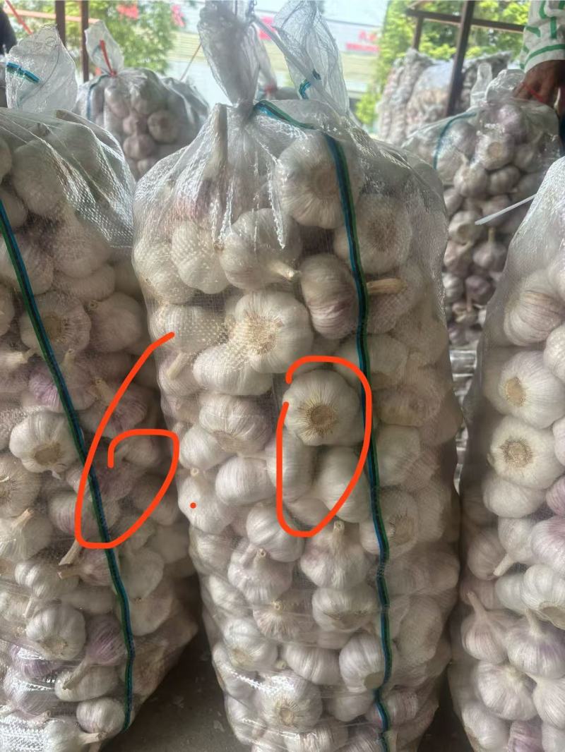 江苏大蒜邳州分级净蒜红皮蒜紫皮蒜，产地直发