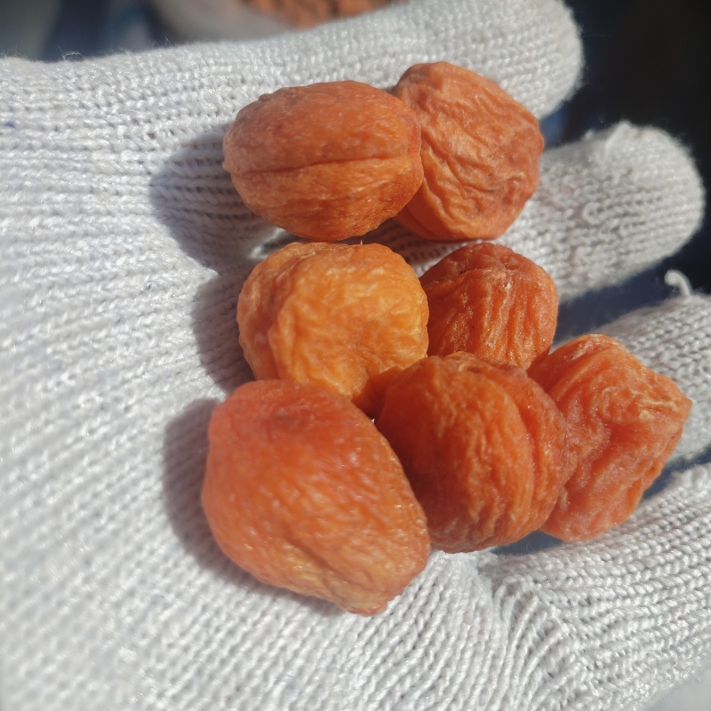 红杏干新疆特产带核红杏脯散装新货包邮批发