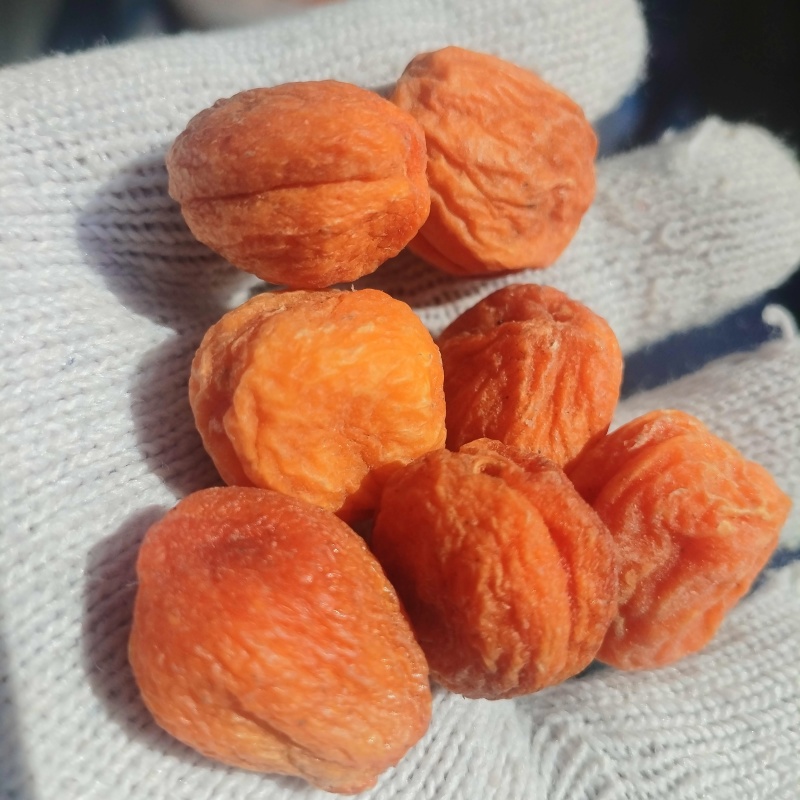 红杏干新疆特产带核红杏脯散装新货包邮批发