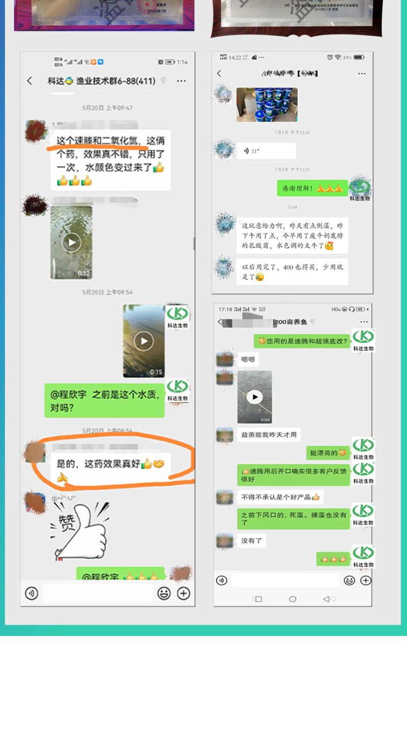 速腾解毒泡腾片鱼虾蟹塘水产养殖解毒专用改良水色