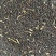 65万斤油菜籽