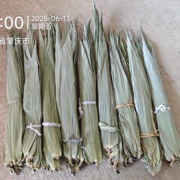广东干粽叶