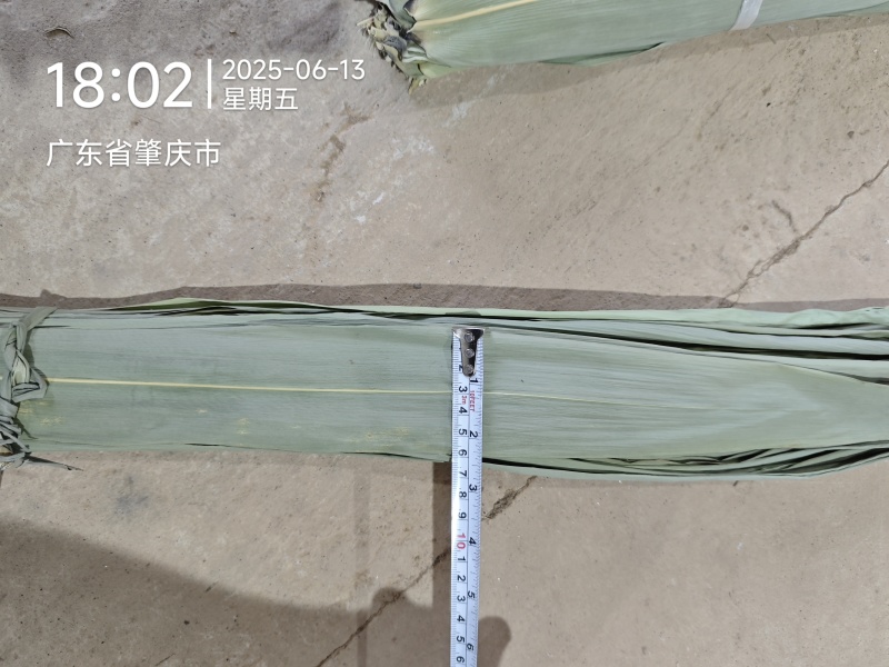 广东干粽叶