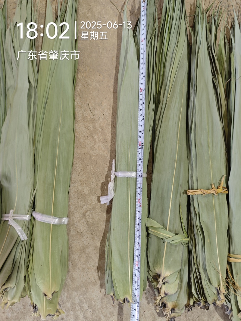 广东干粽叶