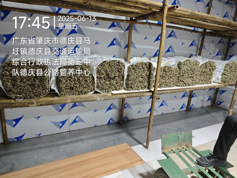 广东干粽叶