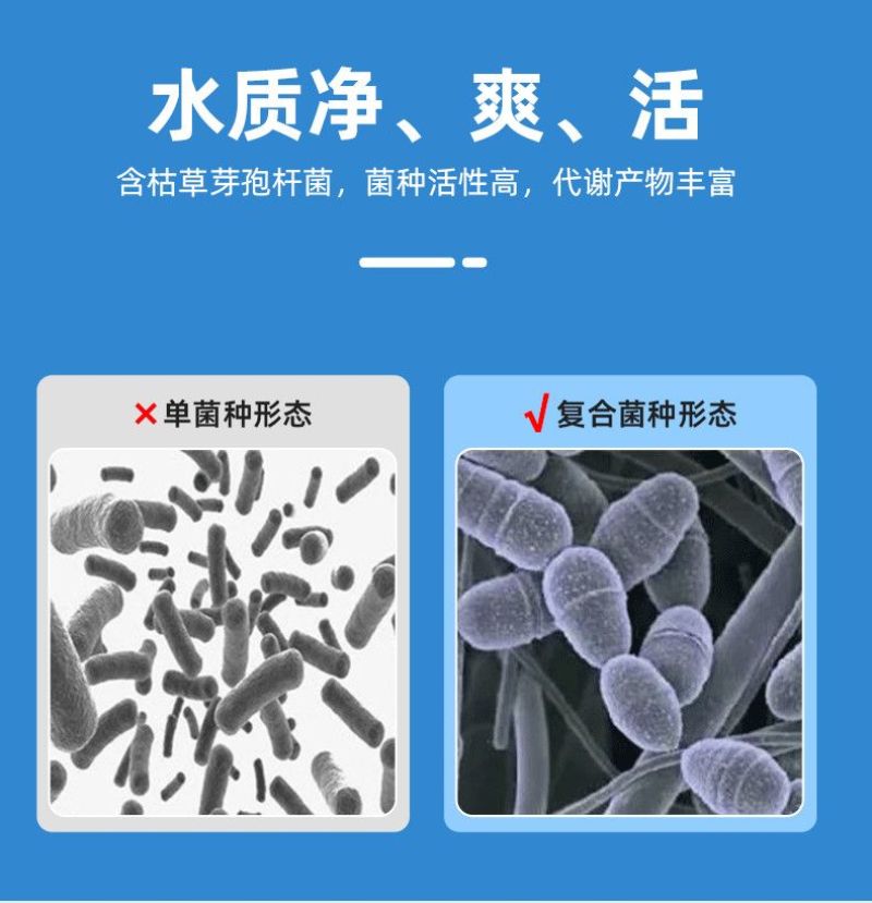 益菌能鱼虾蟹塘黑水老绿水降氨氮亚盐水产养殖专用调水肥水