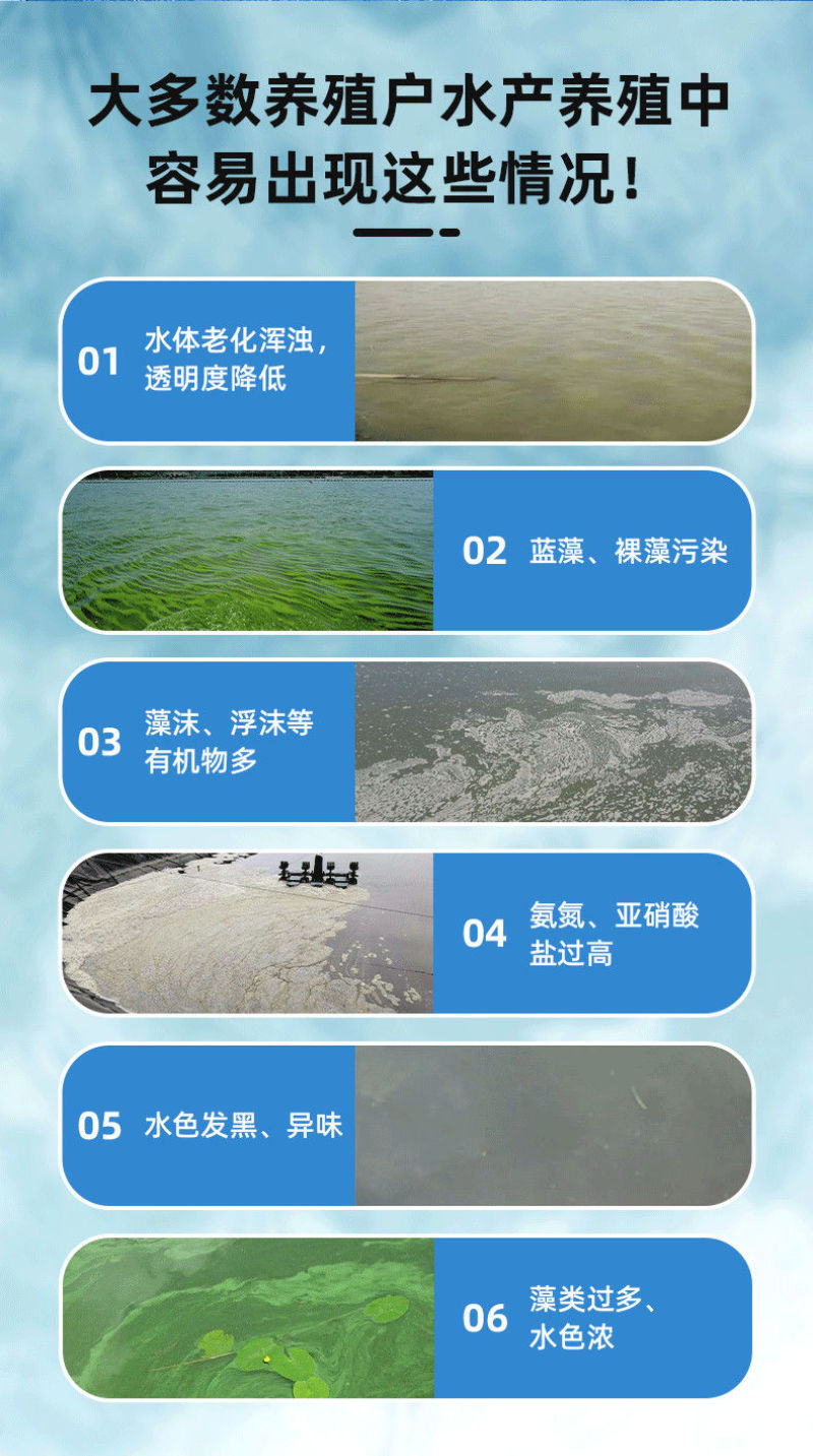 益菌能鱼虾蟹塘黑水老绿水降氨氮亚盐水产养殖专用调水肥水