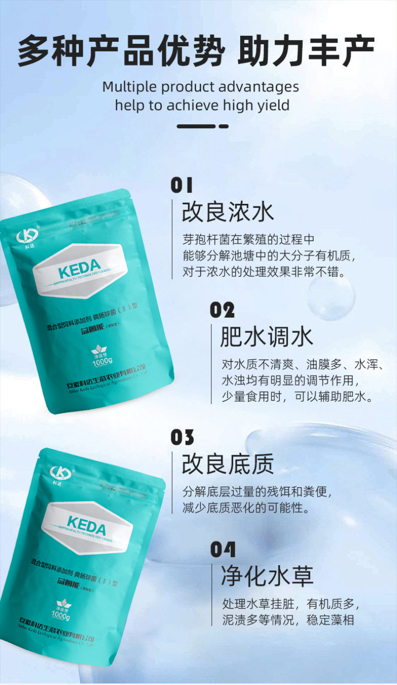 益菌能鱼虾蟹塘黑水老绿水降氨氮亚盐水产养殖专用调水肥水