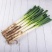 山东青州铁杆大葱大量现货。全国发货。量大从优。