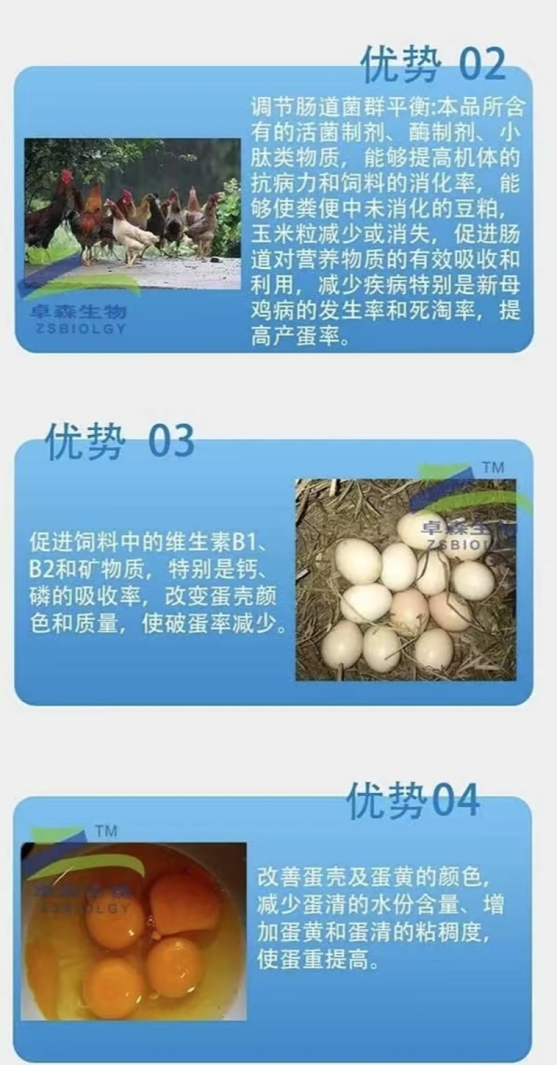 促蛋肽鸡鸭鹅家禽饲料添加剂产蛋多改良蛋壳蛋色增蛋防病