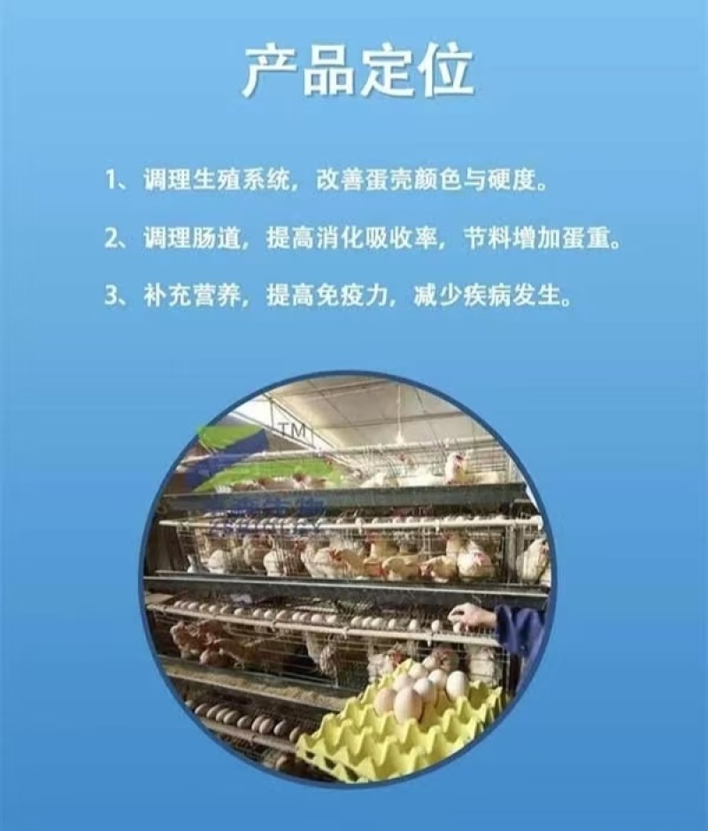 促蛋肽鸡鸭鹅家禽饲料添加剂产蛋多改良蛋壳蛋色增蛋防病