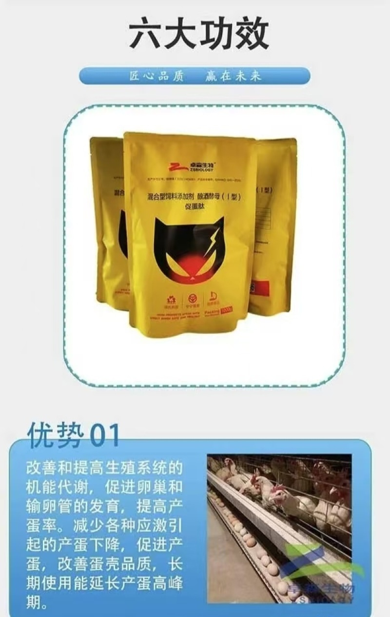 促蛋肽鸡鸭鹅家禽饲料添加剂产蛋多改良蛋壳蛋色增蛋防病