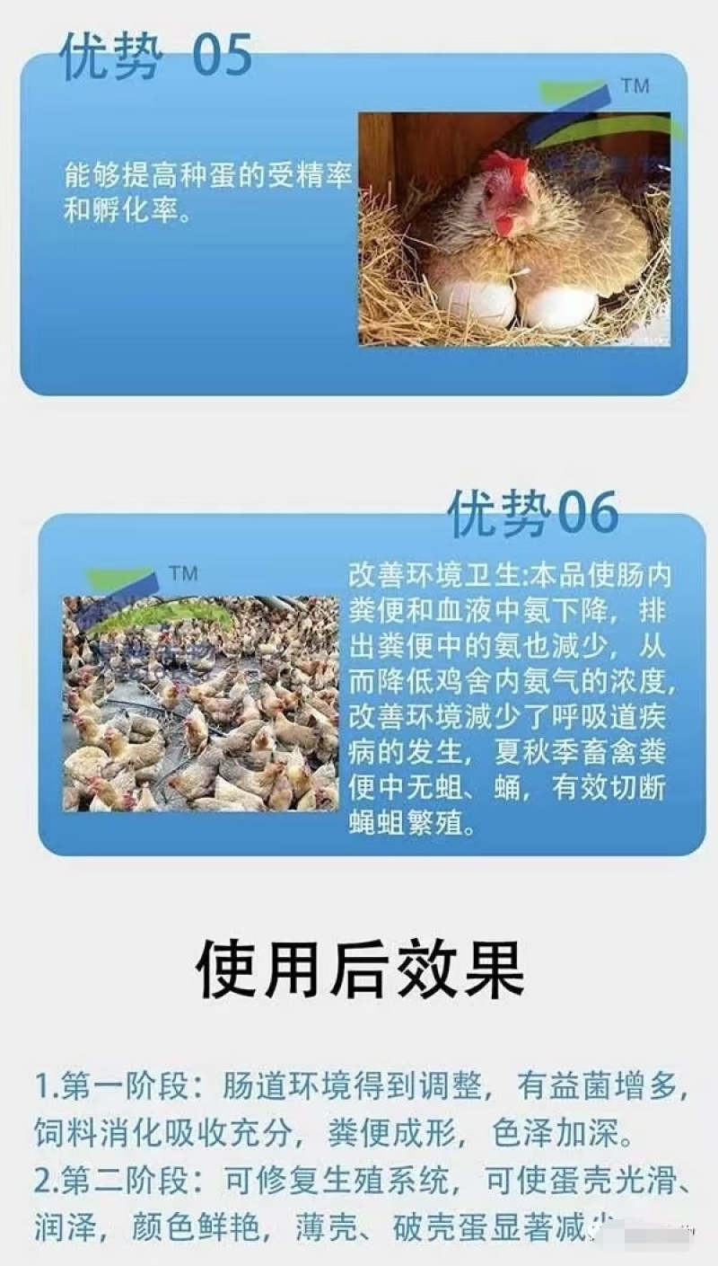 促蛋肽鸡鸭鹅家禽饲料添加剂产蛋多改良蛋壳蛋色增蛋防病
