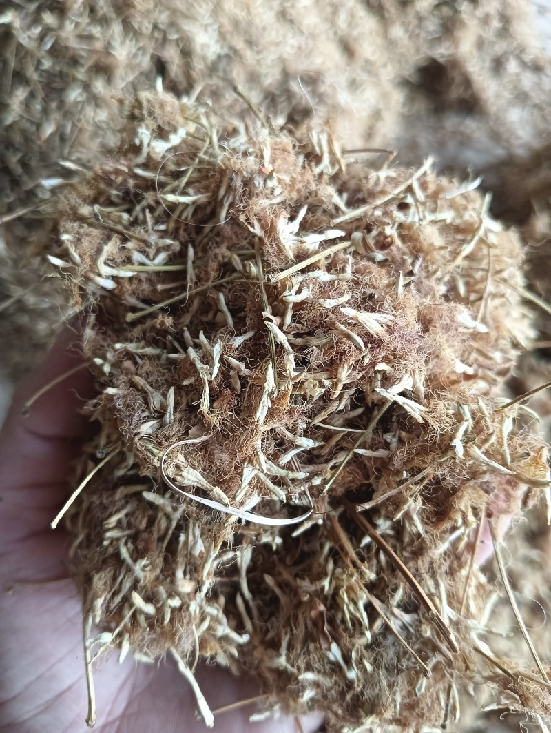 合欢花榕花1斤起批批发各种中药材欢迎选购