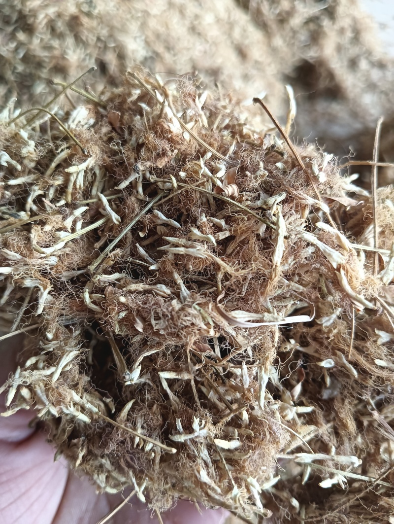 合欢花榕花1斤起批批发各种中药材欢迎选购