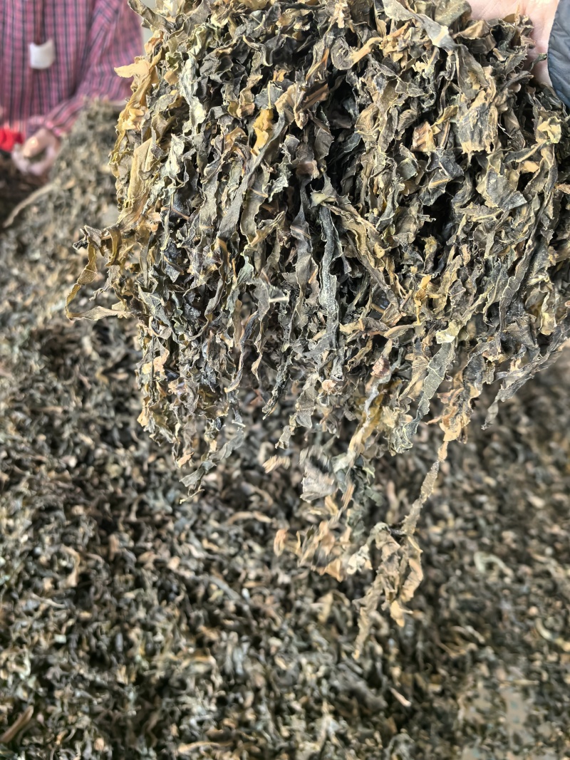 万亩基地，厂家直发，大货大货梅干菜产地批发支持代发全国