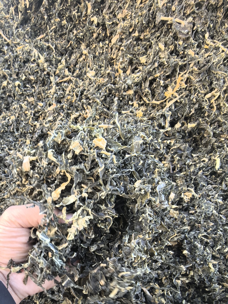万亩基地，厂家直发，大货大货梅干菜产地批发支持代发全国