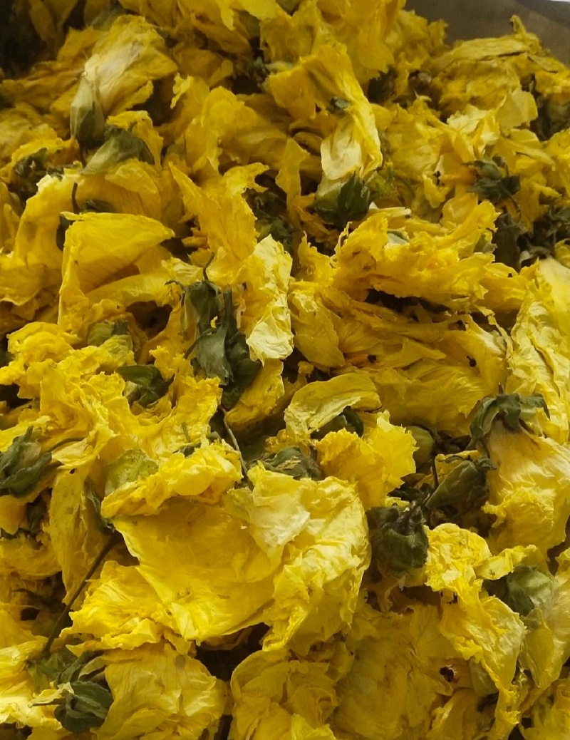 黄蜀葵花干货切段蜀葵根黄蜀葵花常年经营各种中药材