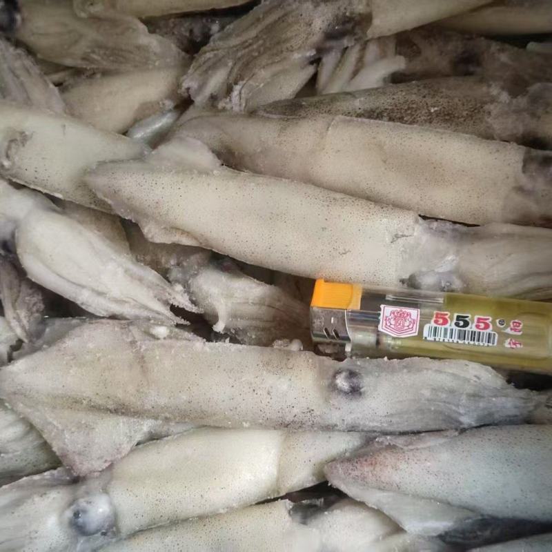 笔管鱼
