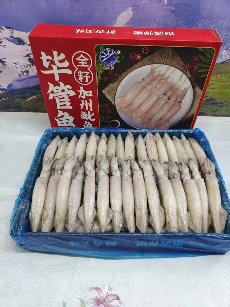 笔管鱼