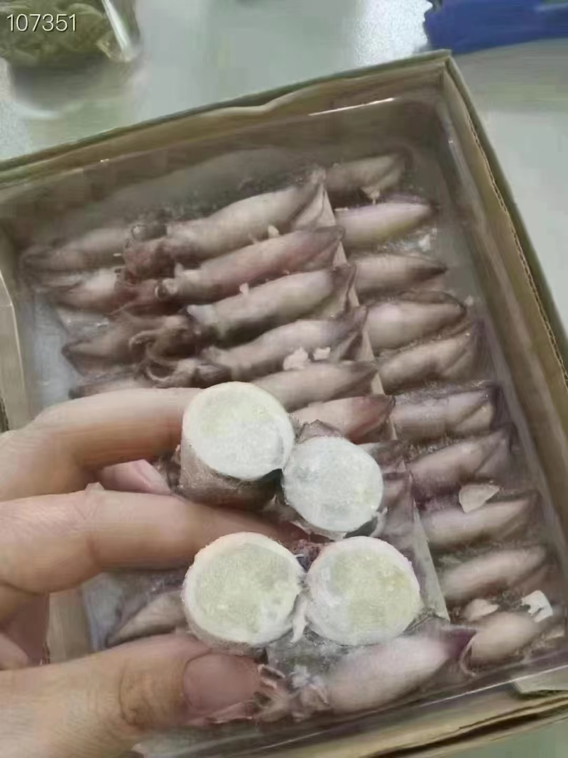 熟冻籽乌