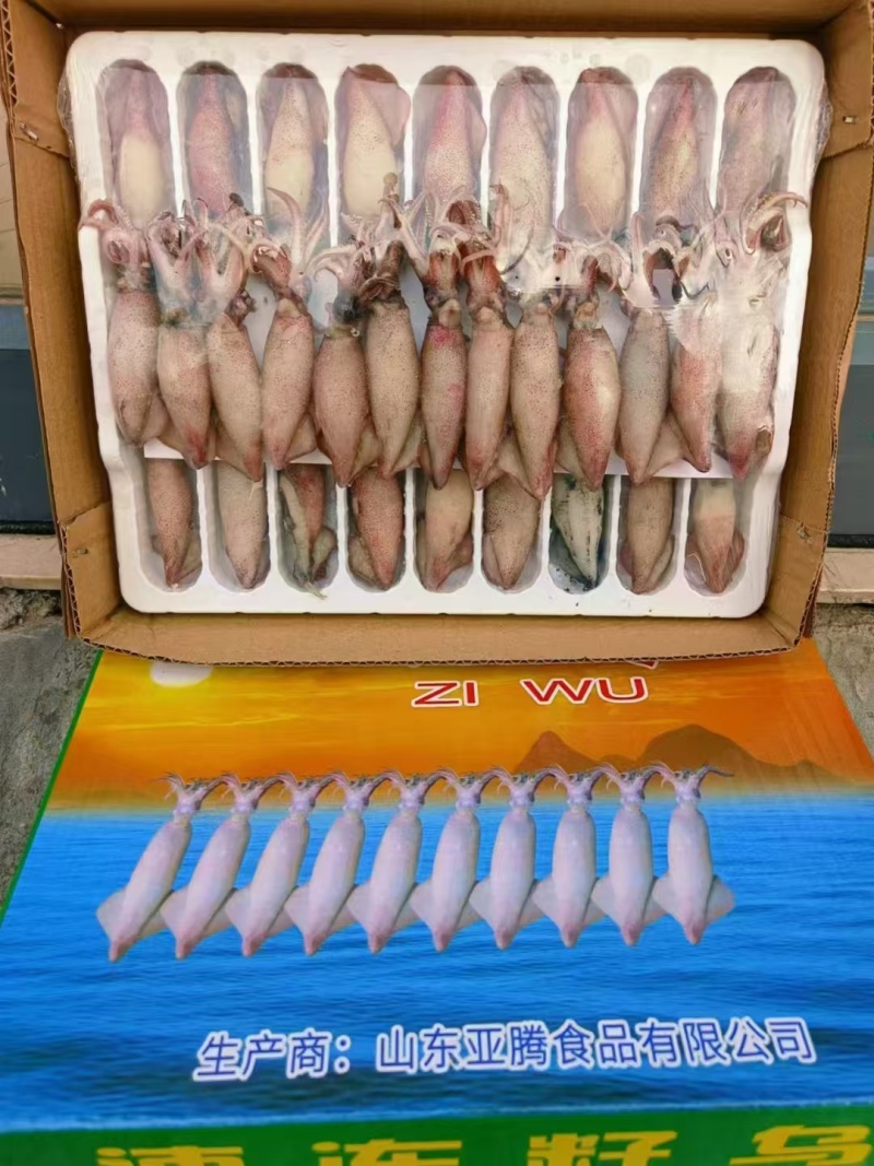 熟冻籽乌