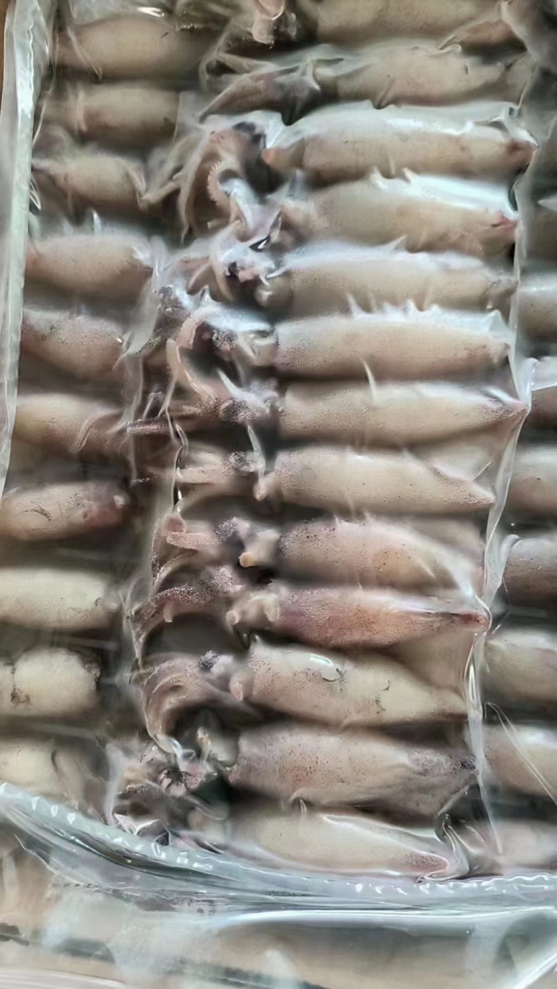 熟冻籽乌