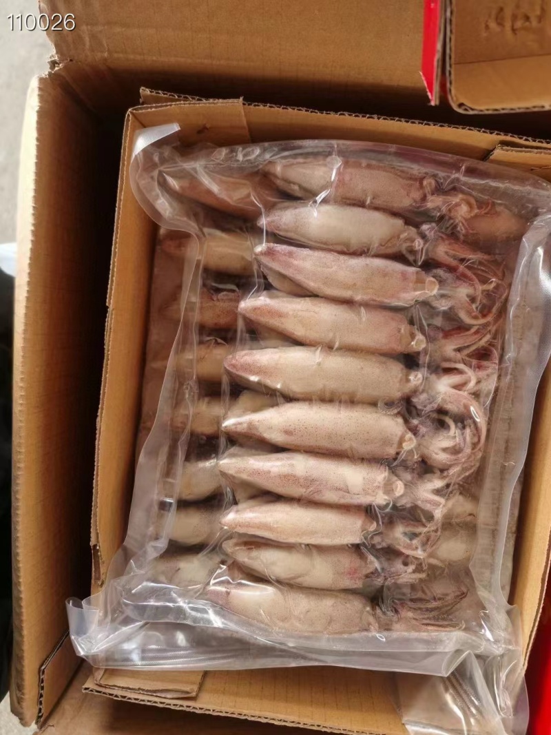 熟冻籽乌