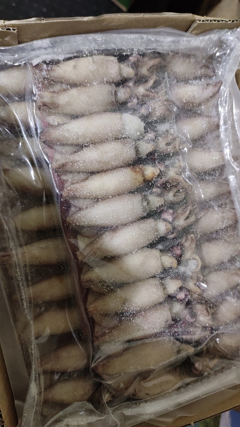 熟冻籽乌