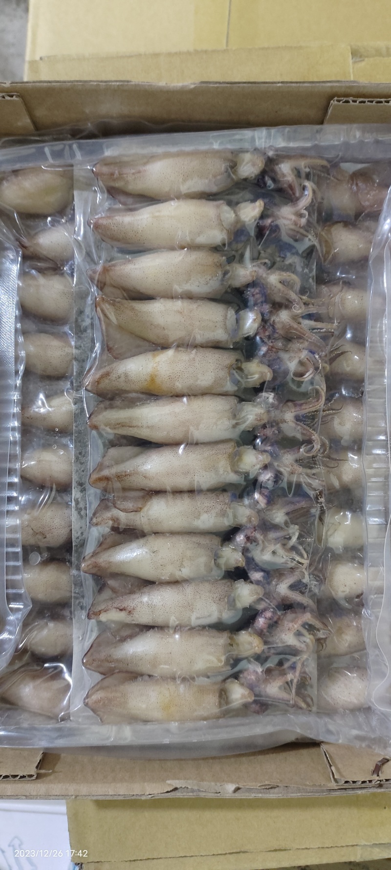 熟冻籽乌