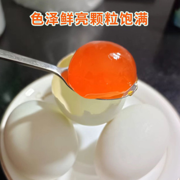 【咸蛋黄】蛋黄