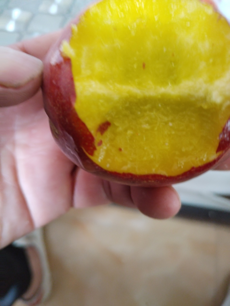 珍珠枣油挑