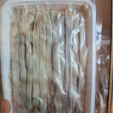 沙虫，厂家直销，价格实惠