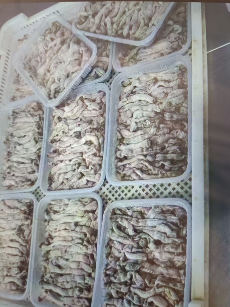 沙虫，厂家直销，价格实惠