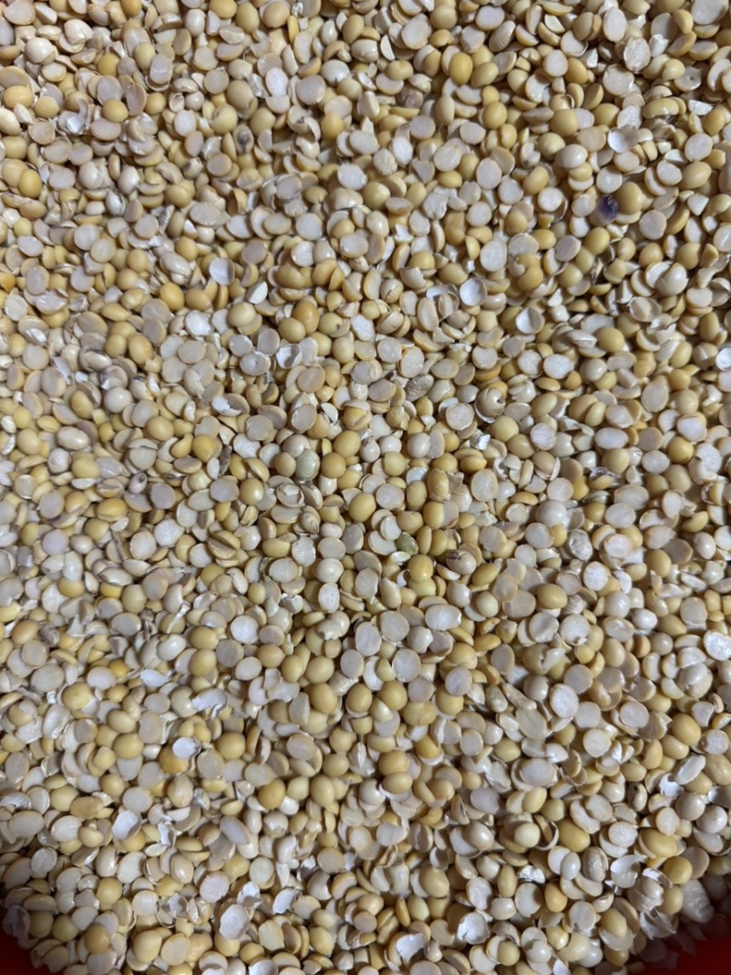 碎黄豆瓣，碎黄豆下脚料无土无沙无霉变，养殖饲料豆