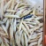 沙丁鱼，品质高，价位低