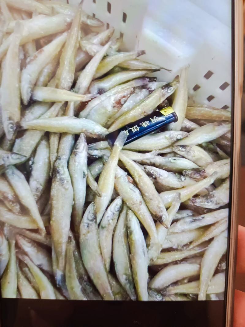 沙丁鱼，品质高，价位低