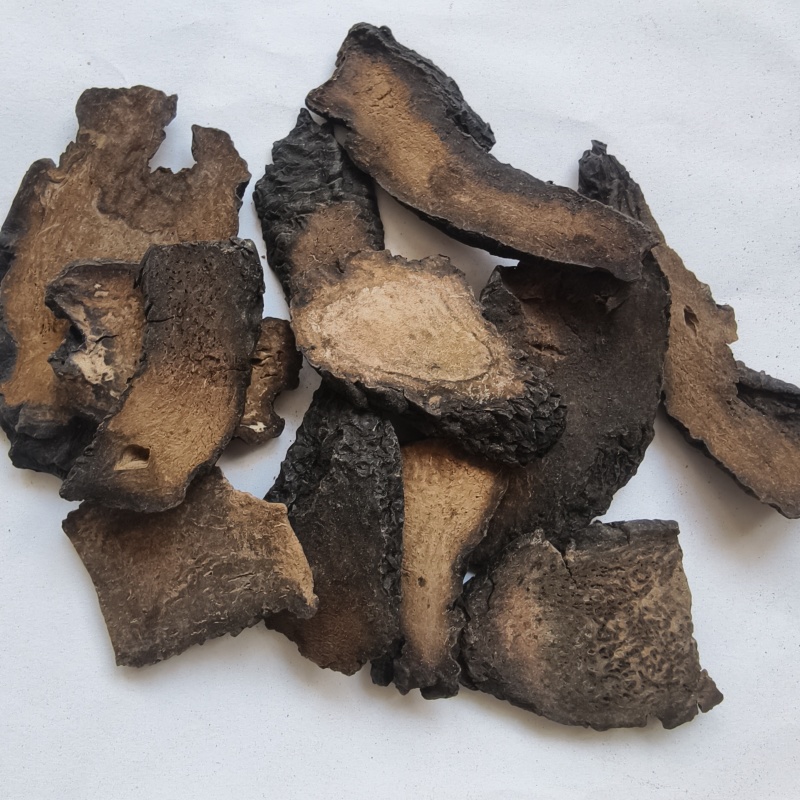 肉苁蓉个子，规格齐全硬大芸统货